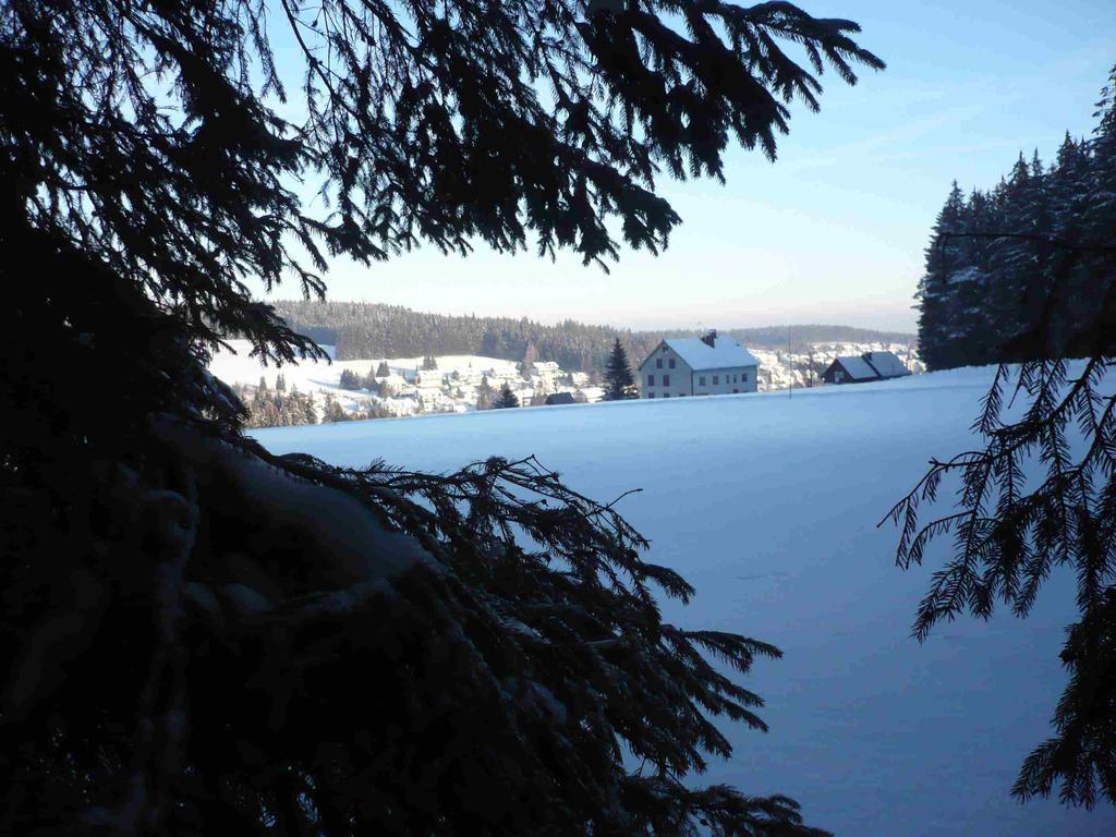 Schönwalde Hohengasthof Lowen - Escheck מראה חיצוני תמונה